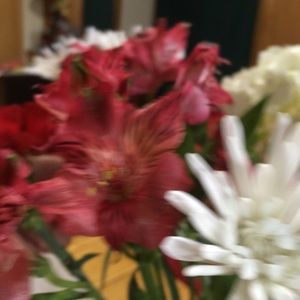 Meet your Posher, Anne